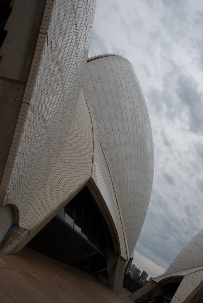 Sydney Opera house by snowstorm snowflake