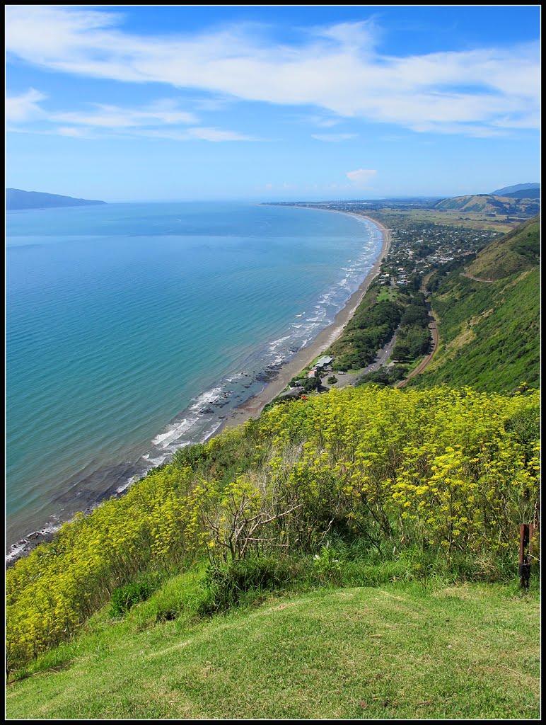 Kapiti coast by Lana Kuznetsova