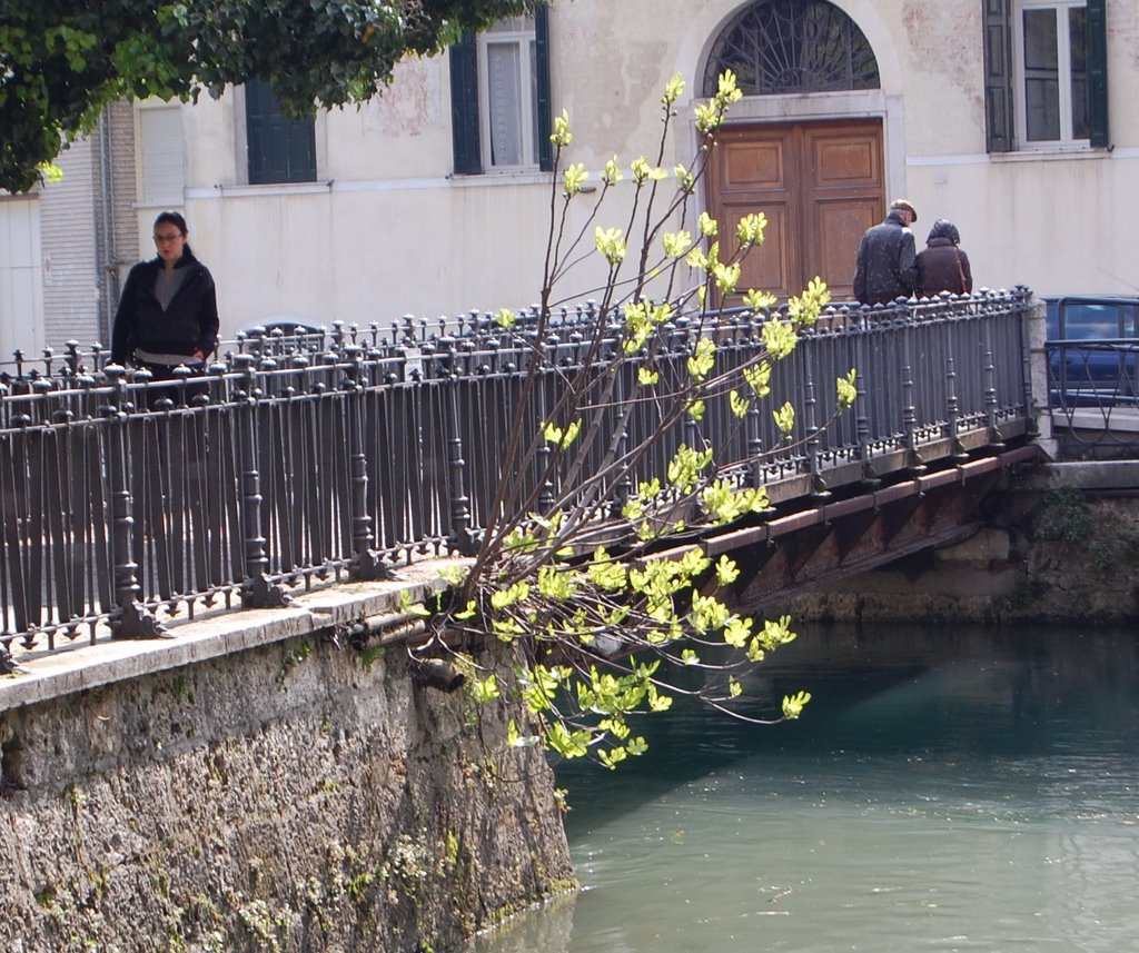 Ponticello in Riviera Margherita by Furlanetto  Aldo