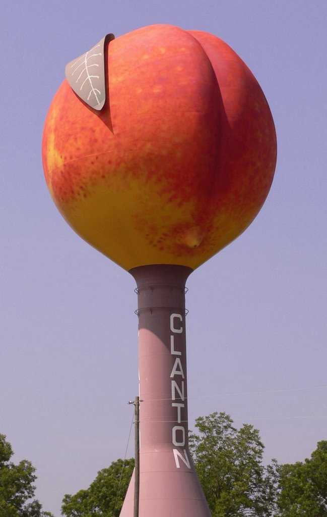 Clanton Peach Water Tower by jgoforth