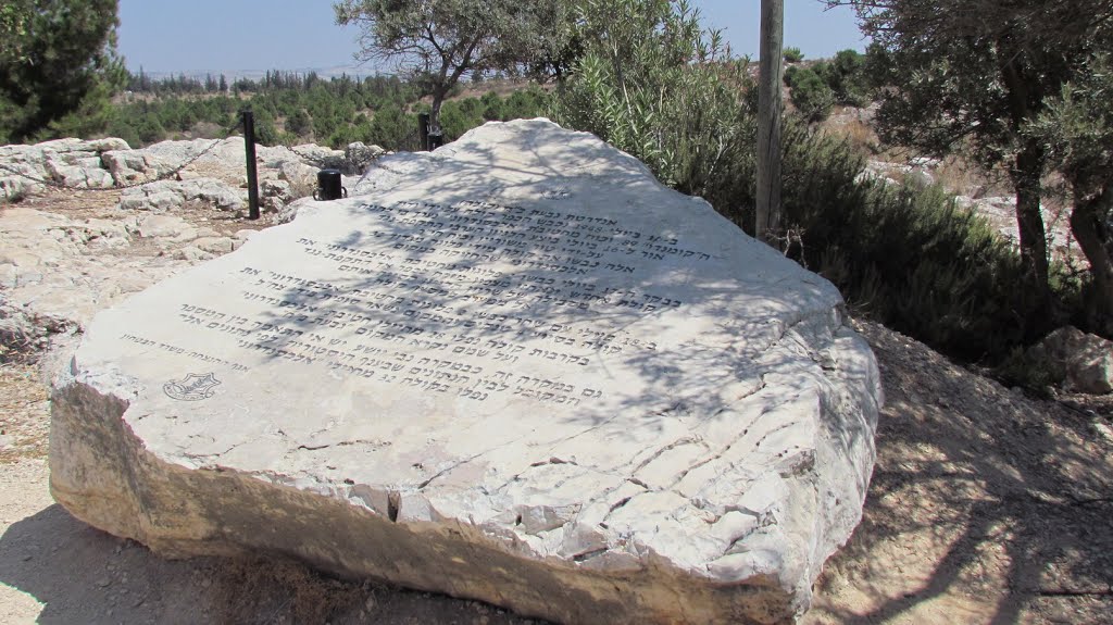 Elad, Cola forest, a memorial to Alexandroni  , Israel by Kobi Zilberstein