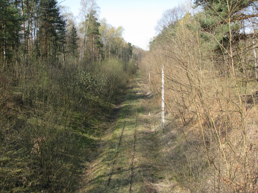 Staniszcze Wielkie, Poland by Richard Anderwald