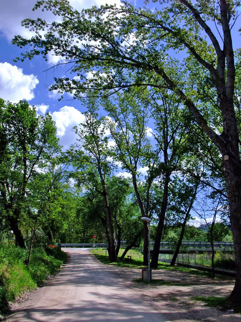 2008 - Parco fluviale Caduti di Nassirja - FujiFilm F100-fd by ♥ stazio vinicio