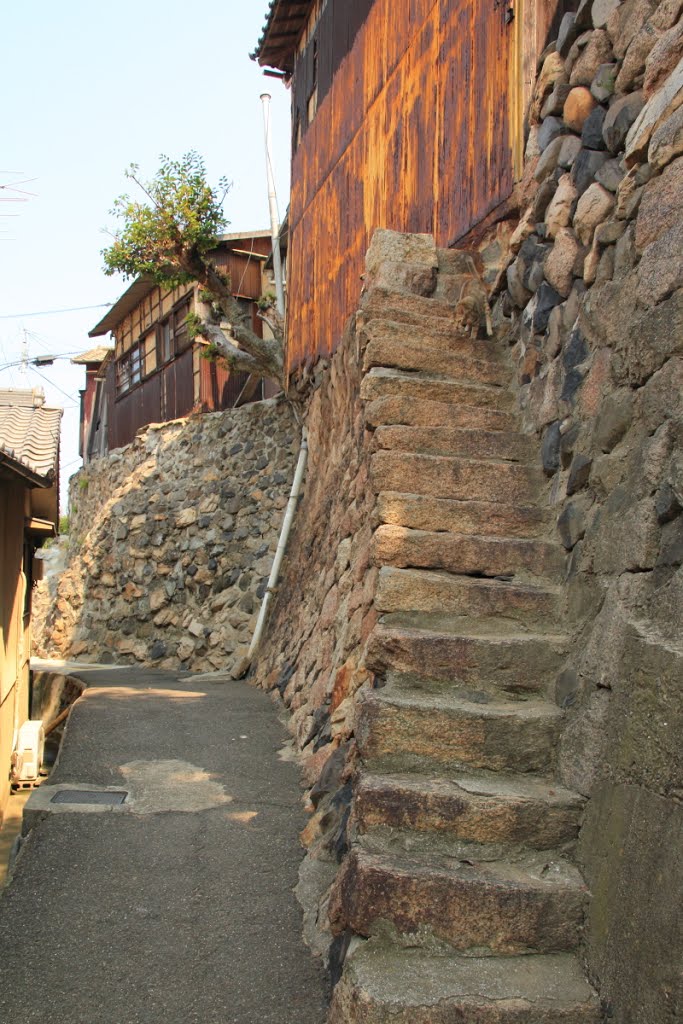 Dangerous steps,Ogijima,男木島 by tamawe