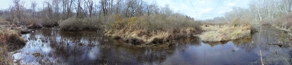 Great Egg Harbor River Panorama by hoganphoto