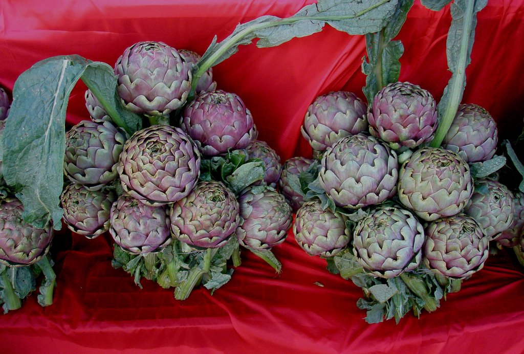 Carciofo Romanesco by loreto de felice