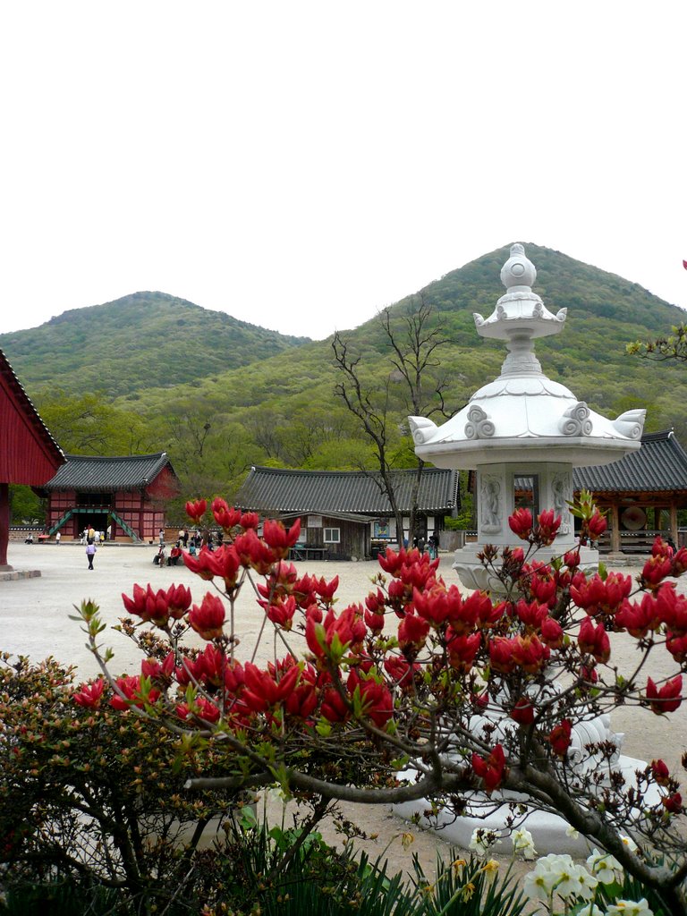 Sunun temple(spring) by shin jun seob