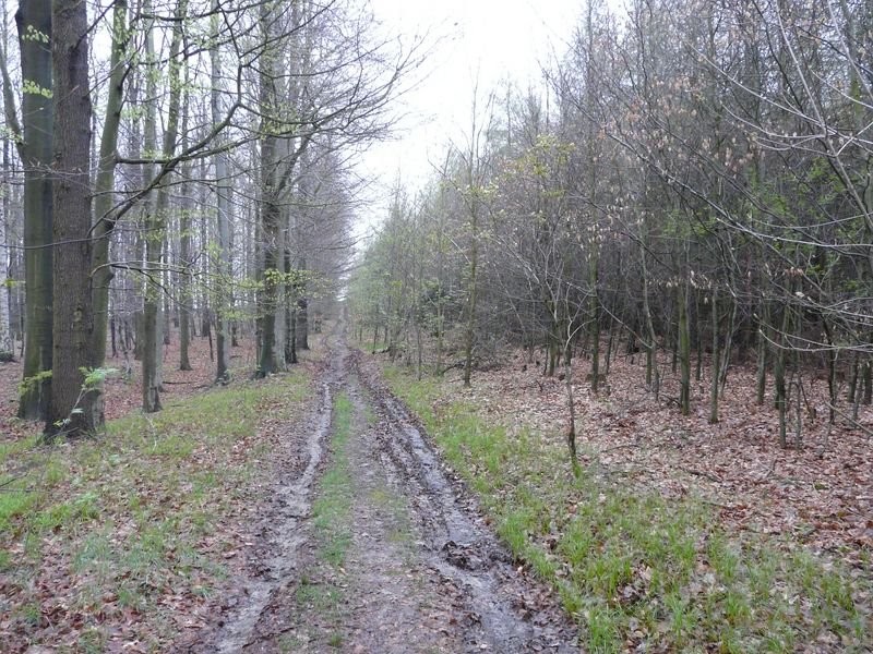 Paudritzsch, Wanderweg nach Lauschka by Walter Stuber