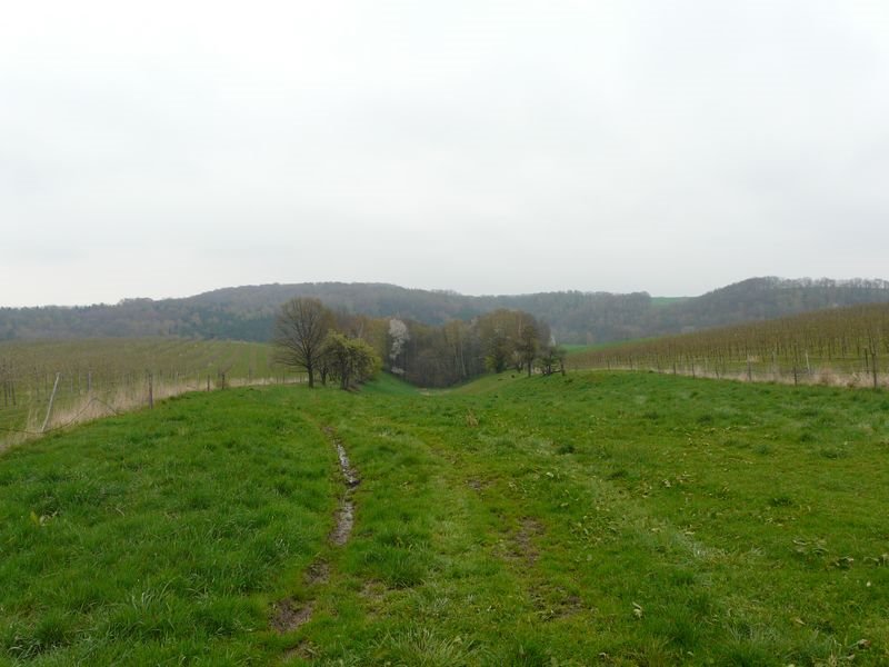 Lauschka, Zwischen den Obstplantagen by Walter Stuber