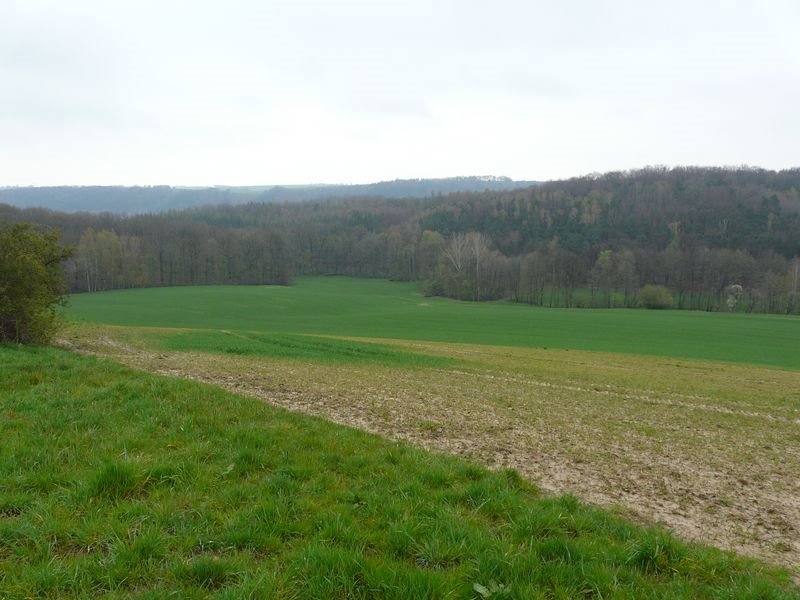 Lauschka, Blick Richtung Paudritzsch by Walter Stuber