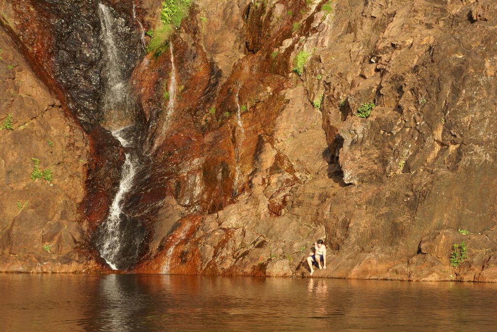 Wangi Falls, Litchfield NP, Northern Territory by Peter Watts