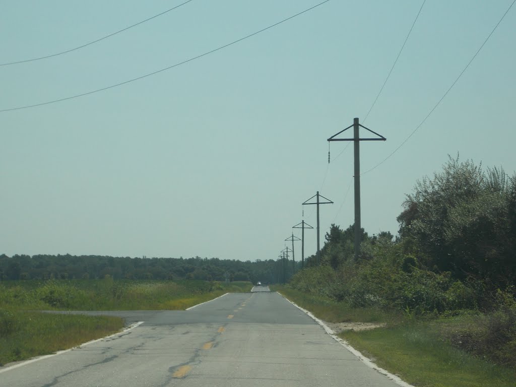 Harvey Straughn Road, NEW CASTLE COUNTY (DE) by PowerPoleScaleModeler