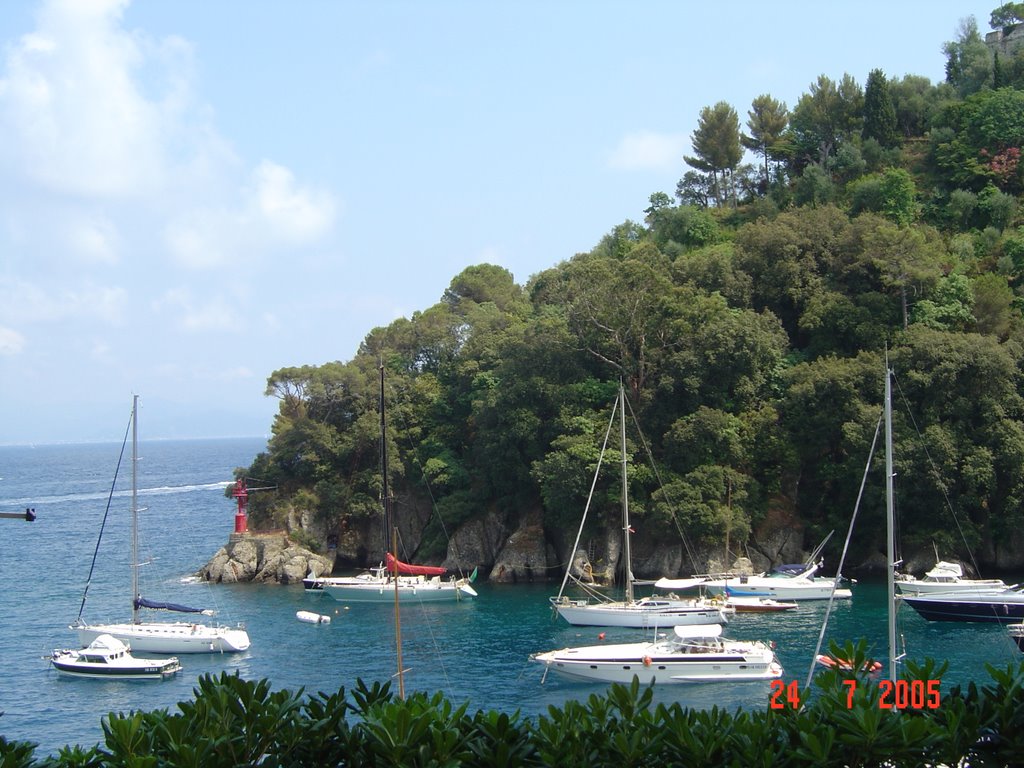 Parking in Portofino by Viorel Ciuna