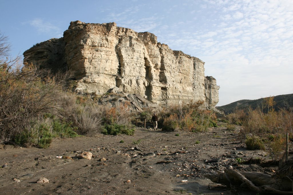 Tabernas by Bercar