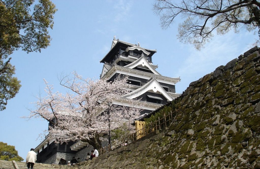 Kumamoto castle walls by o.b.