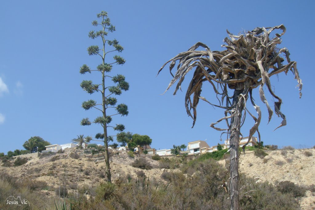 Alicante - Cabo de las Huertas by Ratpenat