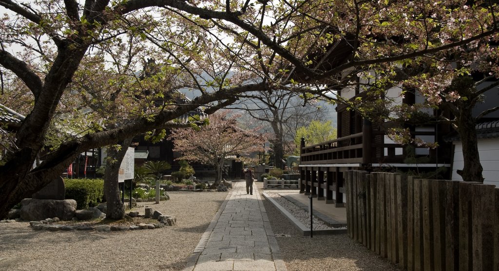 Tachibana, Asuka, Takaichi District, Nara Prefecture 634-0142, Japan by 宮崎亮