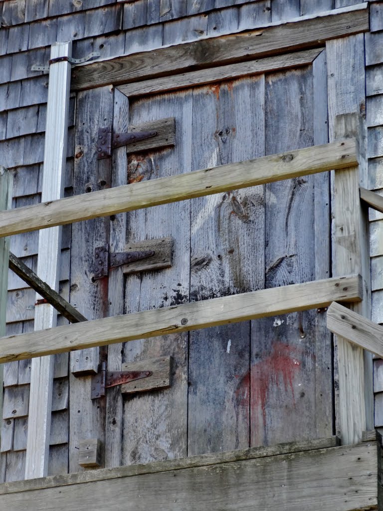 Maine Maritime Museum, Bath Maine by Taoab