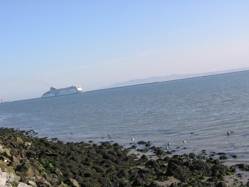 View from Bull Island by scouty_tam