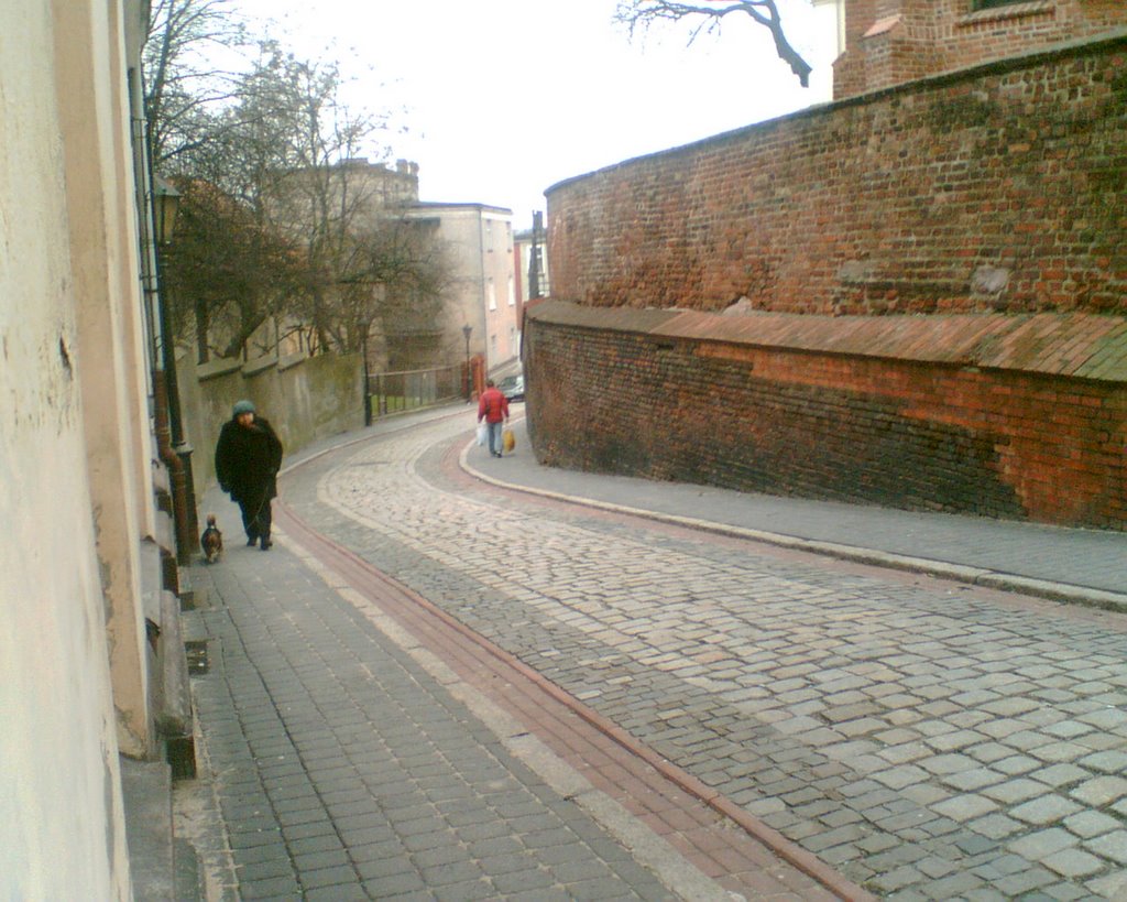 Gniezno - Ulica Stroma, a  do nawet pochyła by geo573