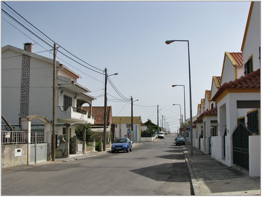 Rua Manuel Francisco Novo - Santo Ovídio by Barragon