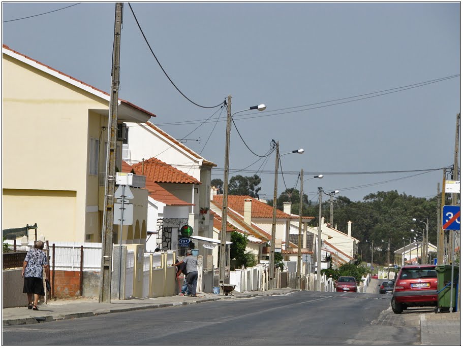 Estrada Santo Ovídio-Mourisca by Barragon