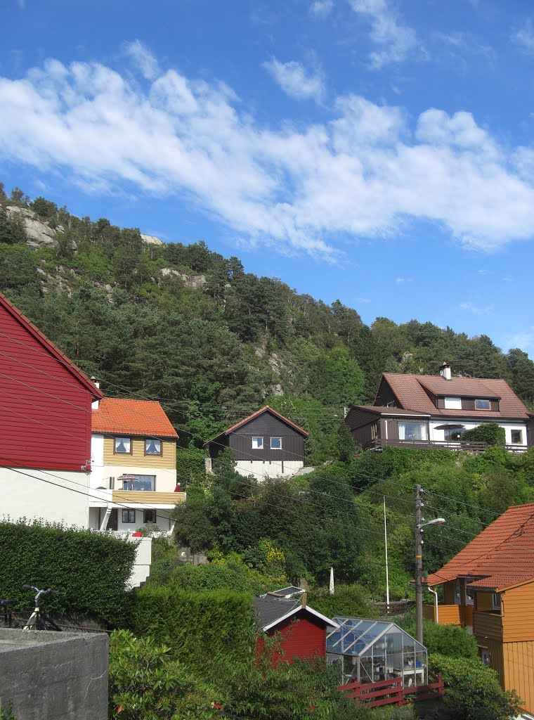 Beautiful clouds and great living in the sunshine by Mona Lygre