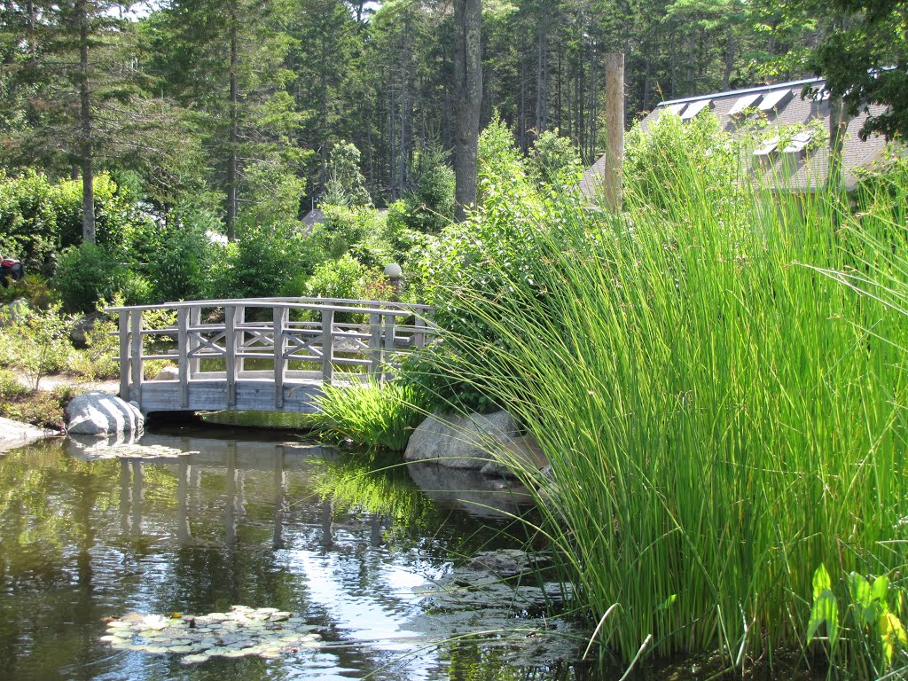 Coastal Maine Botanical Gardens Footbridge by Chris Sanfino