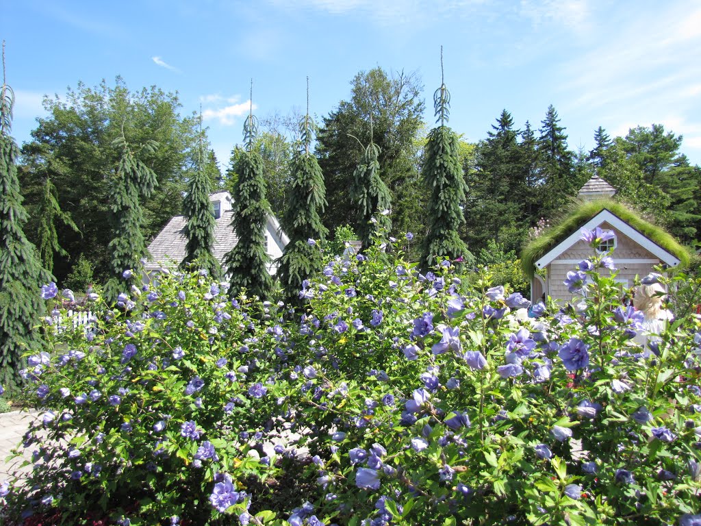 Coastal Maine Botanical Gardens by Chris Sanfino