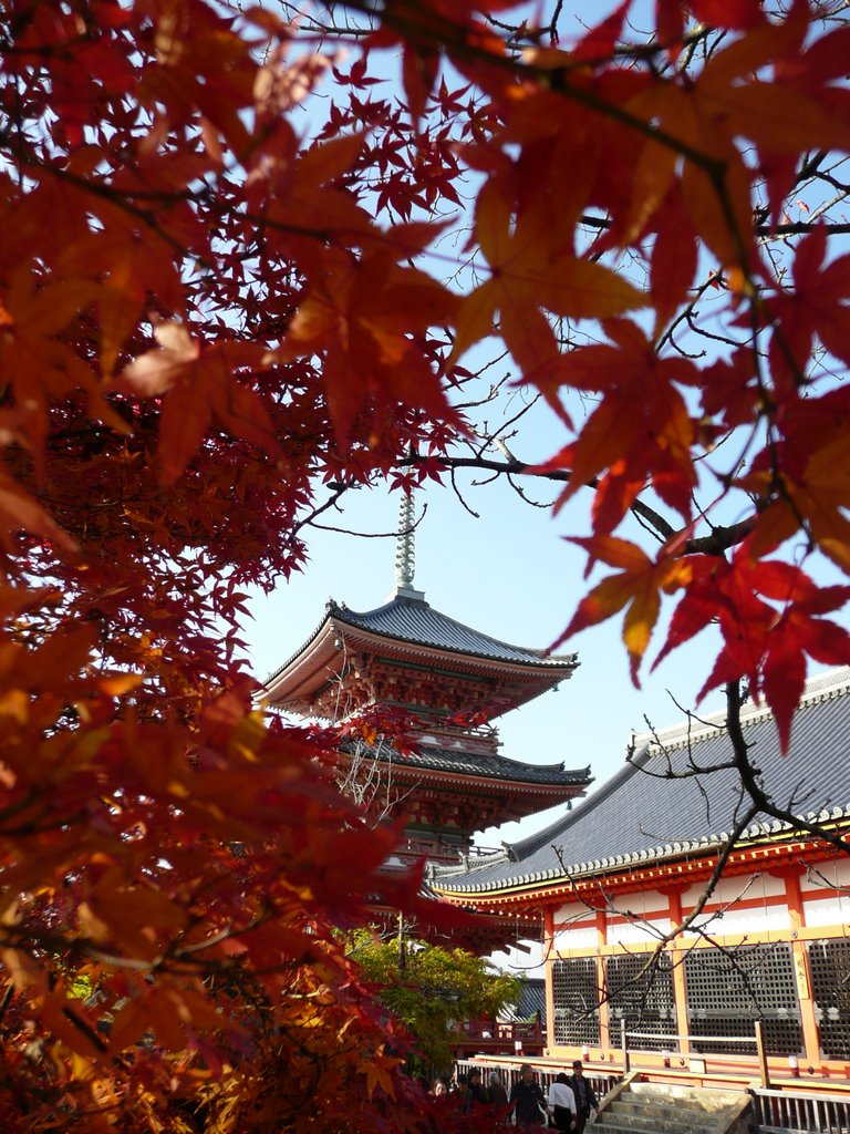 Yasaka Pagoda, Kyoto by Rob Ceccarelli