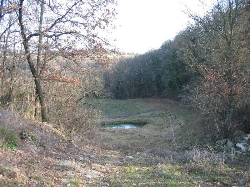 Le trou d'eau bleu et son arbre by Souabe