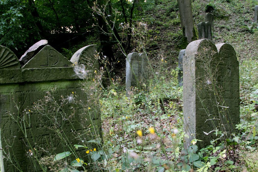 Jüdischer Friedhof - Jewish Cemetery by clemax23