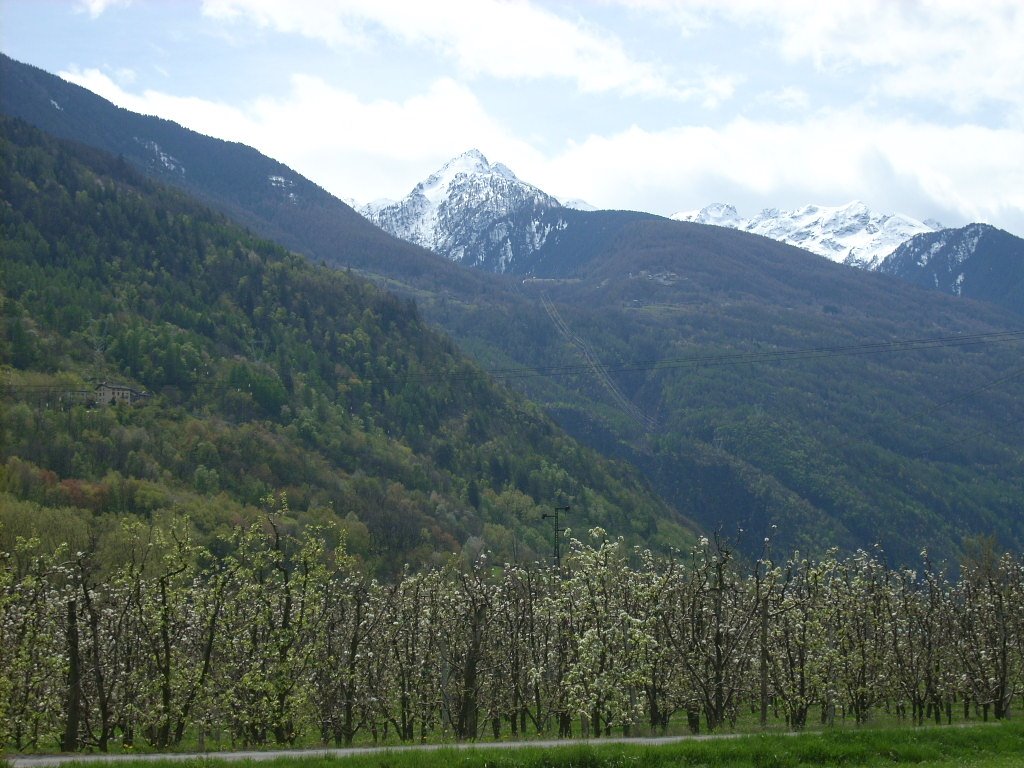 Montagna sopra Tresenda by Motals