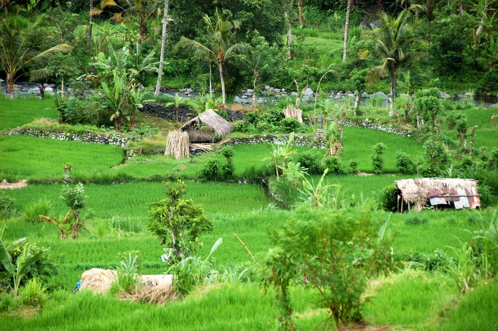 Bali by Yanti & François Bea…