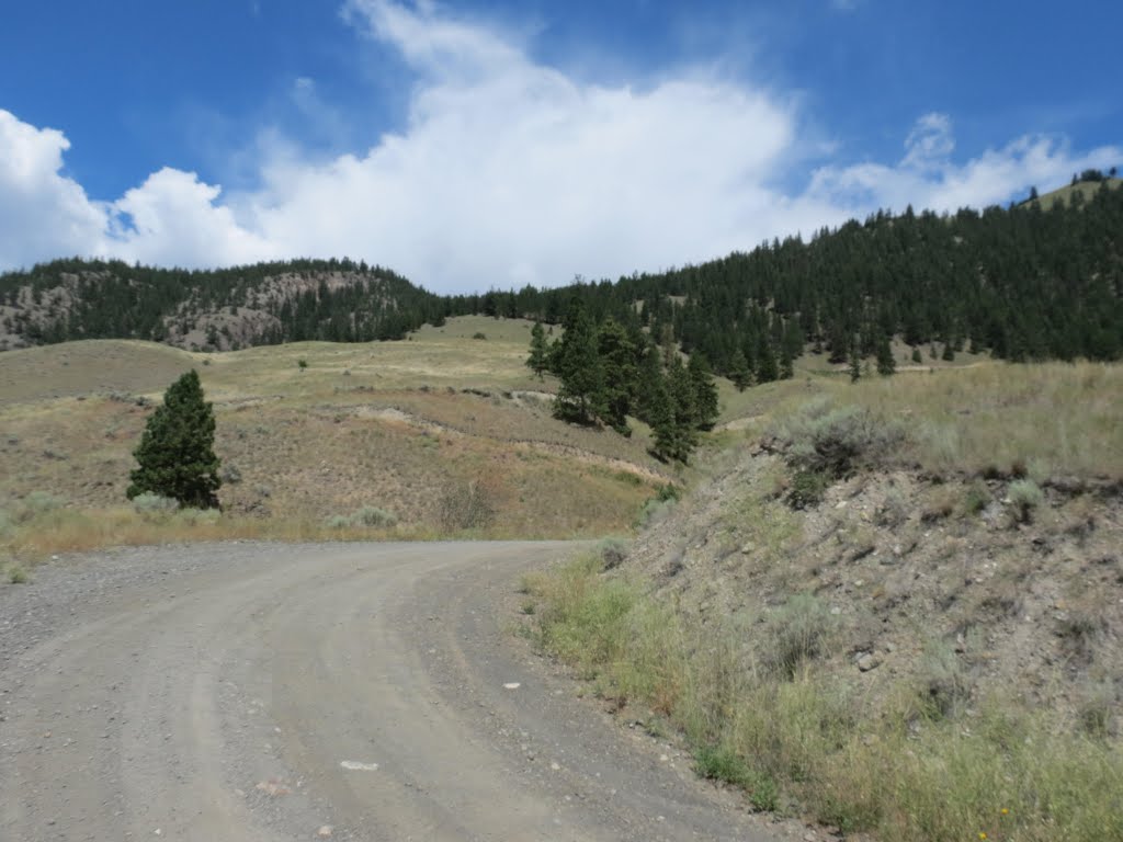 Back road to Apex Mountain Resort by Gordon Niamath