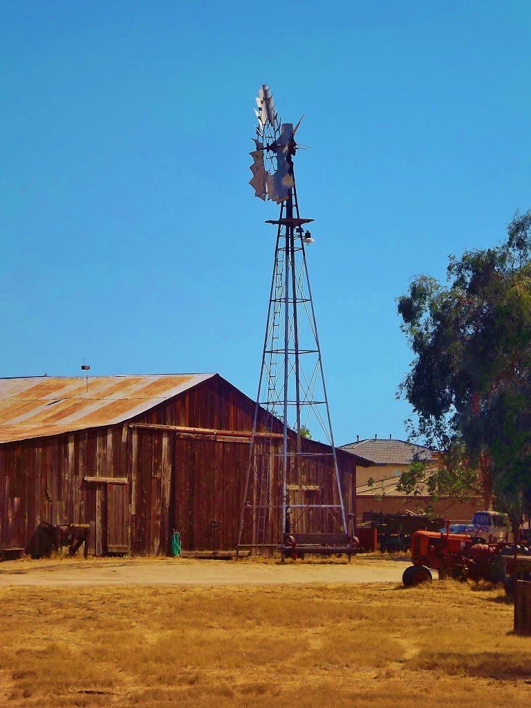 Windmill by Dan Baldini