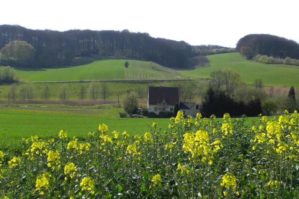 Haus im Feld, Erkrath bei Düsseldorf by AGW