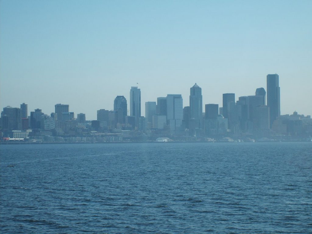 Seattle from Puget Sound by t-earth