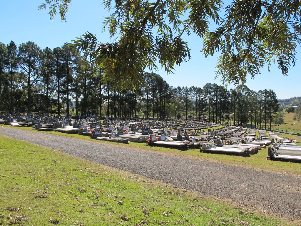 Kyogle Cemetery, Summerland Way ,Kyogle.NSW .23rd.August 2013. by frances5