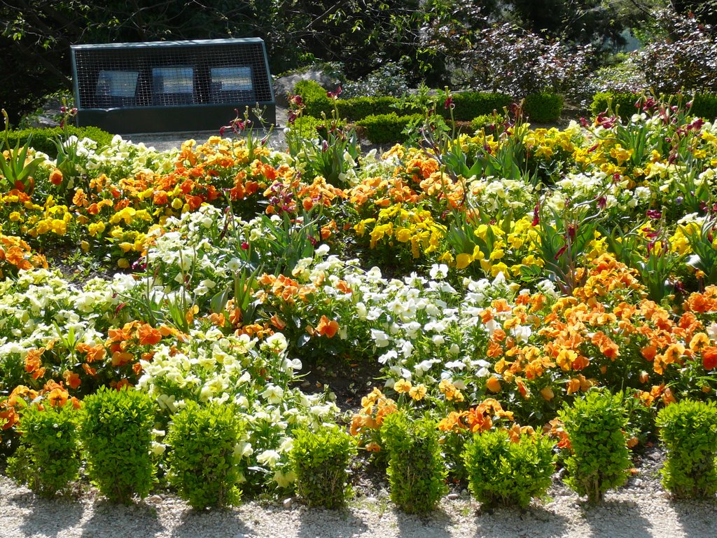 Les fleurs du jardin by Fabrice Germès