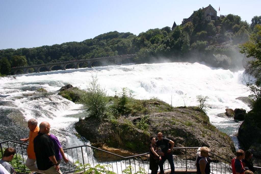 Schaffhausen am Rheinfall - 03 by Edward Stoklossa