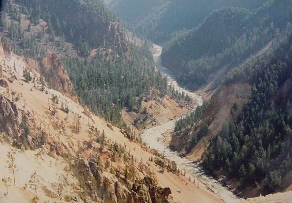 Yellowstone Gorge. Yellowstone National Park. 1992 by J. Rogers