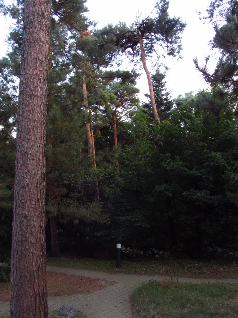 Center Parcs het Heijderbos zomer 2013 by ikendewereld