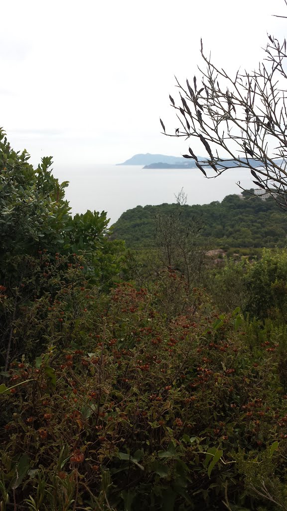 Alentours de la mine du cap Garonne by liovar