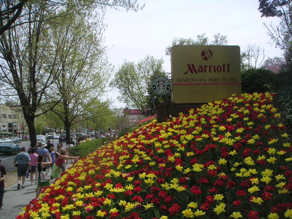 Connecticut Ave sign for Marriott's Wardman Park Hotel by bullonboyd