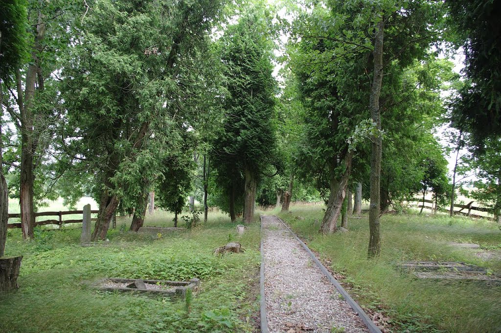 Jeden z nielicznie zadbanych cmentarzy, godne odnotowania. Ględy by Wojtaslwp