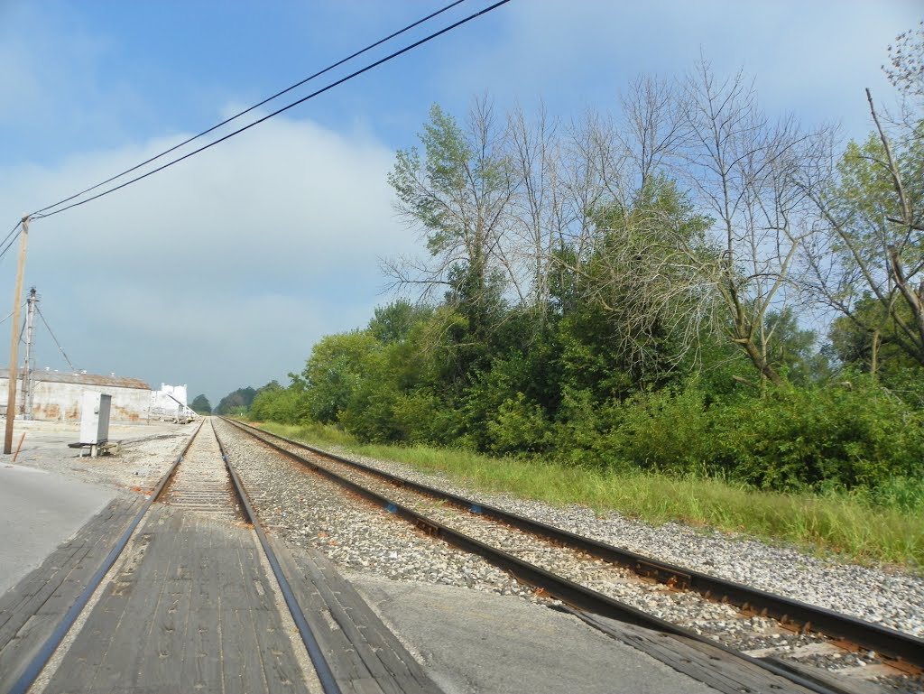 Chicago, Ft Wayne & Eastern Railroad by MikeFromholt