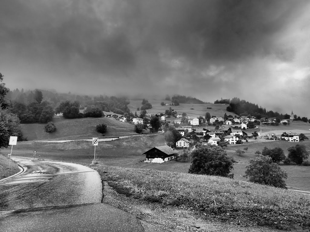 rainy day 9.8.2013 weg nach thusis by schilf