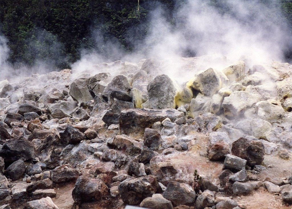 Hawaii Island, Hawaii - near Kilauea overlook by Gerald Stafford