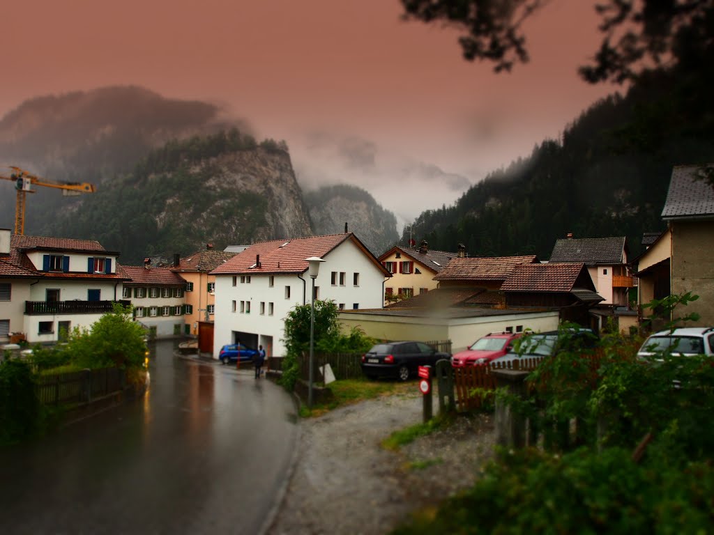 rainy day 9.8.2013 weg nach thusis by schilf